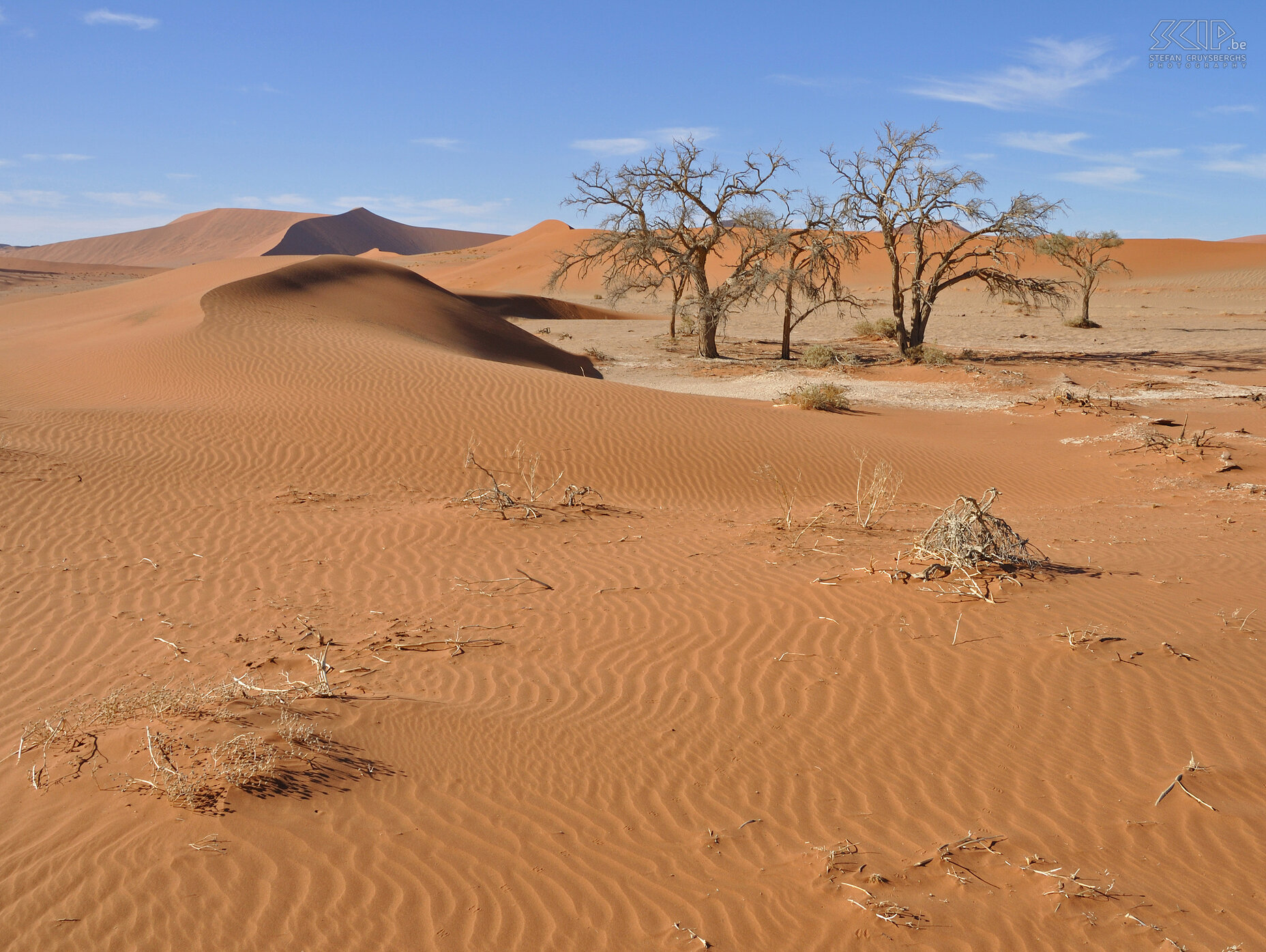 Namib In de Namib woestijn trokken we te voet langsheen de verschillende duinen en vleien zoals Hidden Vlei, Dead Vlei en Sossusvlei. Stefan Cruysberghs